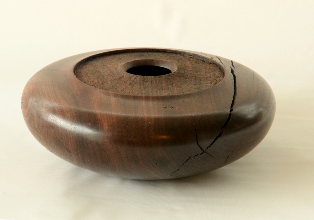 Hollow Form in a Bowl